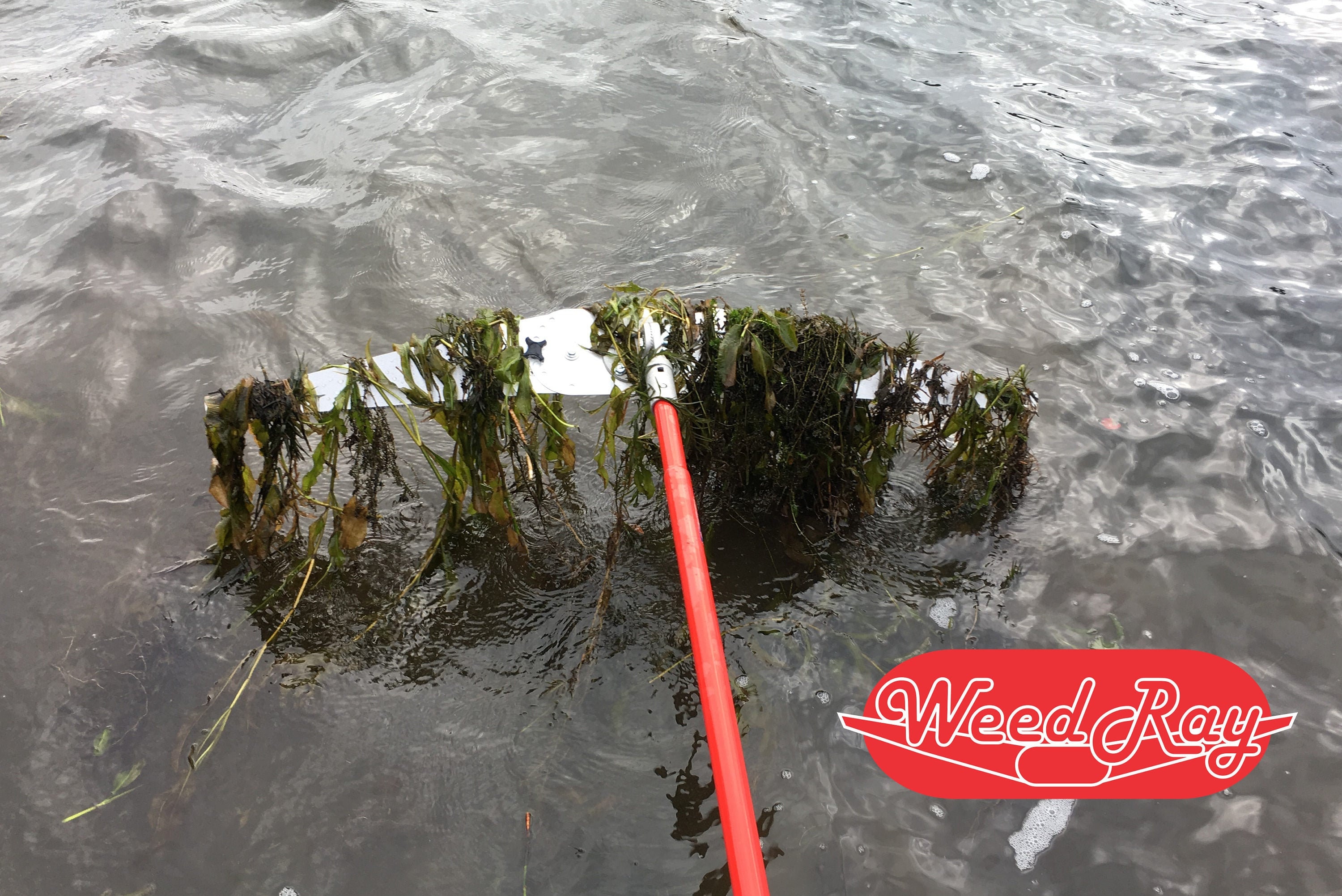 Weed Ray 6 ft Lake weed removal tool weed rake for Etsy