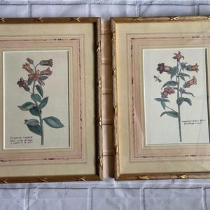 Vintage Designed Exclusively JC Penny Floral Framed Prints Wall Art #7-72-2341