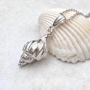 May include: A silver seashell pendant necklace. The pendant is a detailed, three-dimensional conch shell design. The necklace chain is delicate and silver. The pendant rests on a white seashell against a white background.