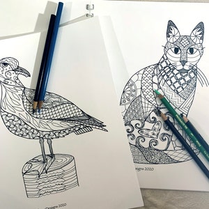 K&ouml;nnte beinhalten: Zwei Schwarzwei&szlig;-Malvorlagen, eine mit einer M&ouml;we, die auf einem Baumstamm sitzt, und die andere mit einer Katze. Beide Seiten haben komplizierte Designs und sind bereit zum Ausmalen.