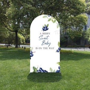 A Berry Sweet Baby Is On The Way Arch Backdrop | Double-Sided Berry First Cover | Custom First Birthday Decor