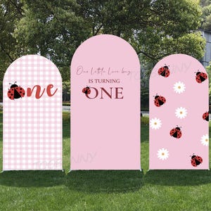 May include: Three pink arch-shaped party decorations. One has a pink and white checkered pattern with a ladybug and the word "one." The second has text that reads "One Little Love bug is turning ONE." The third has ladybugs and white daisies.