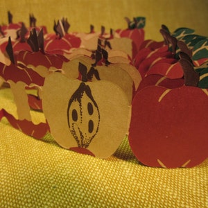 2 pks. red apple paper streamer garland, 8 ft. each , Christmas , Autumn, fall decoration, school room decor,teacher aid