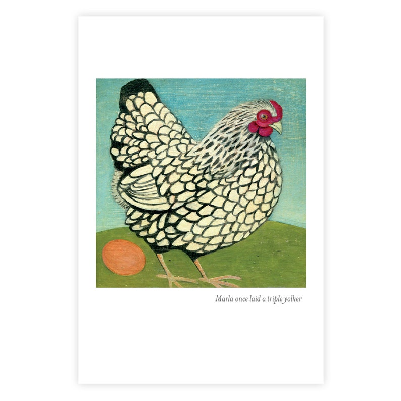 Chicken Postcards