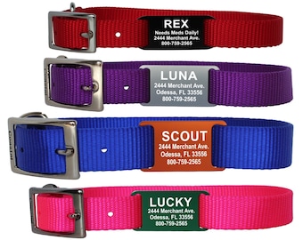 slide on cat collar tags