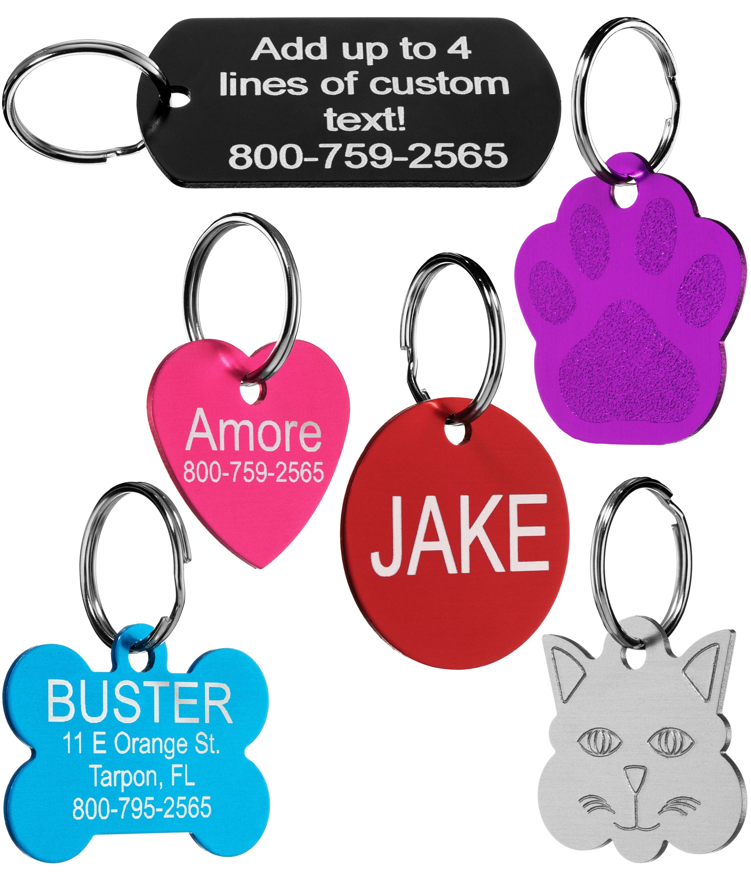 Custom Engraved Pet ID Tags for Dogs and Cats by Providence Etsy