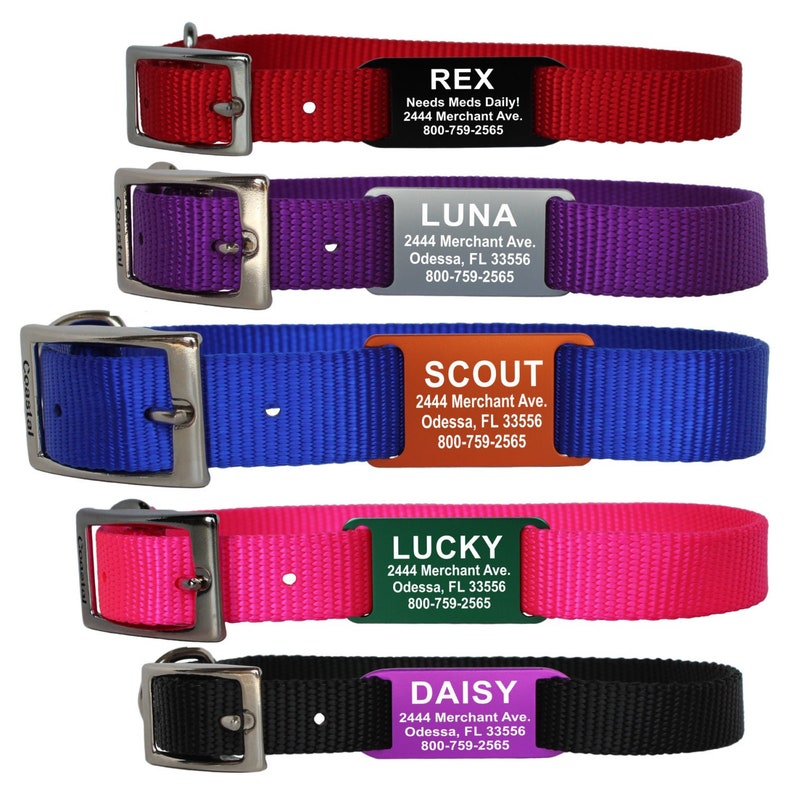 Custom Laser Engraved Slideon Pet ID Tag & Nylon Collar Combo Etsy