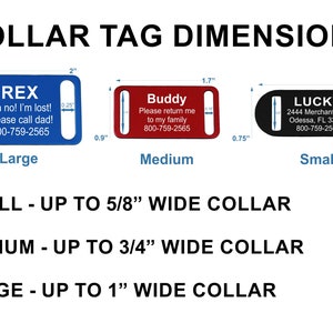 Custom Laser Engraved Slide-On Pet ID Tag & Nylon Collar Combo image 5