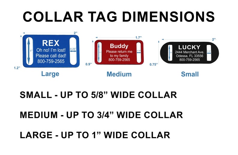 Custom Laser Engraved Slide-On Pet ID Tag & Nylon Collar Combo image 5