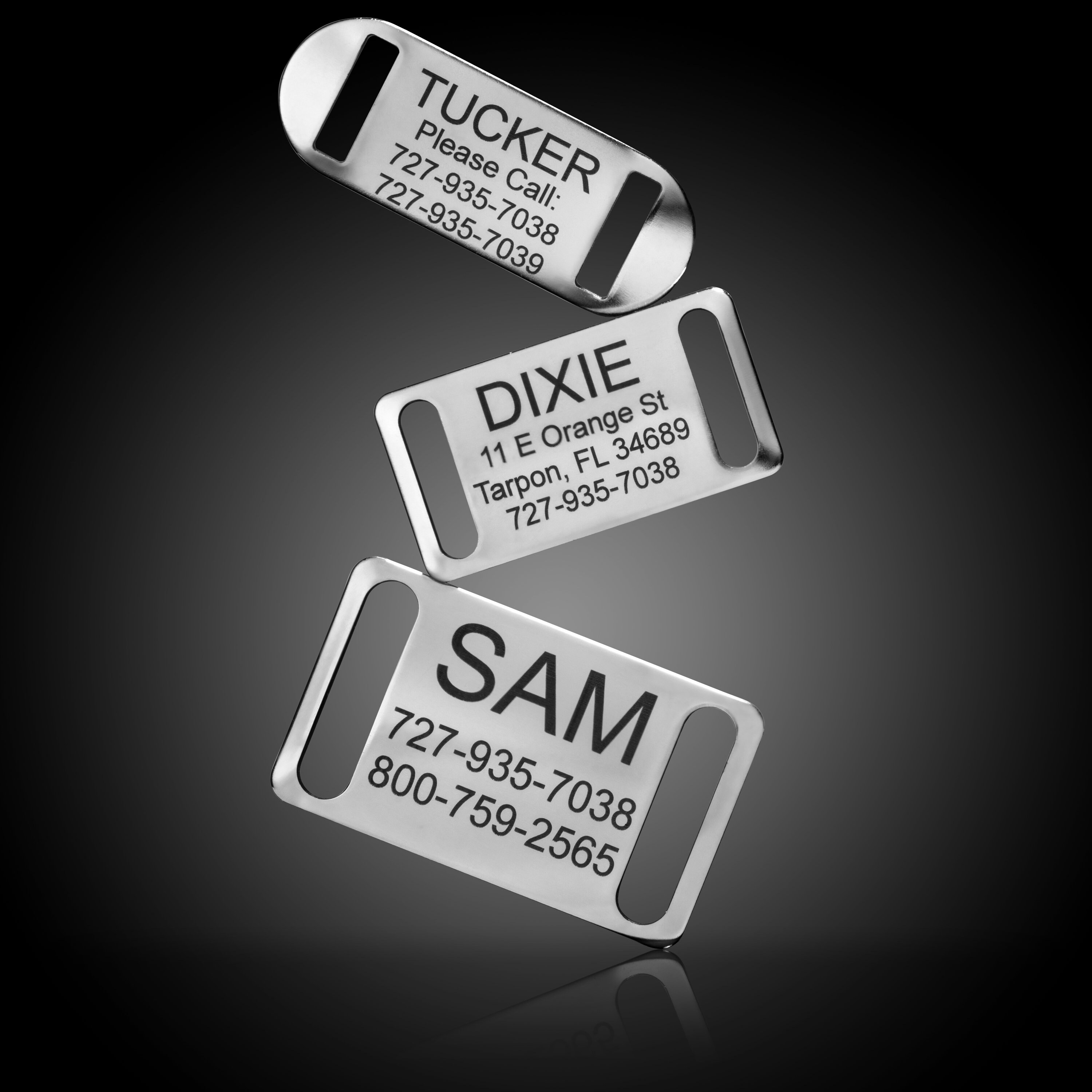 Slideon Collar Pet ID Tag Etsy