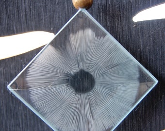 Mushroom Spore Print Glass Ornament or Sun Catcher