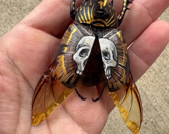 Handpainted beetle-(golden skull)