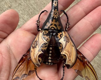 Handpainted beetle-(steampunk)