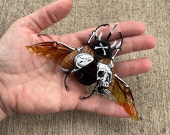 Handpainted beetle-(skull & bones)