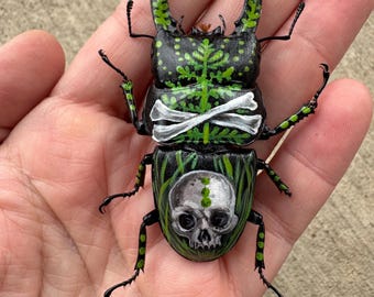 Handpainted beetle-(bones & moss)