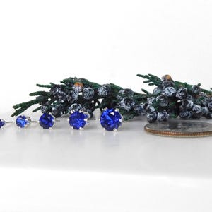 May include: Four pairs of blue sapphire stud earrings in different sizes, displayed on a white surface with a sprig of greenery and a US quarter for scale.