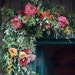 Jan Rose