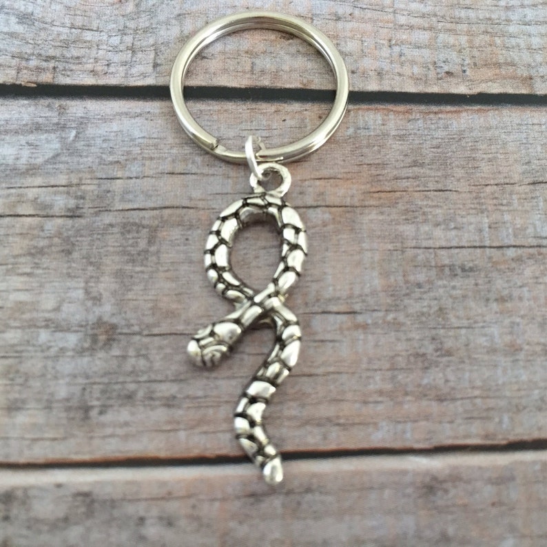 3D Snake Charm Viper Cobra Lizard Gothic Keychain Reptile Keychain Snake Keychain Serpent Keychain Custom Keychain Gift Snake Jewelry