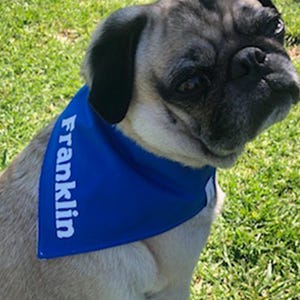 Name Dog Bandana Charlie Bella Bailey Molly Cooper Lucy - Paw Print back side - Handmade with Snap Button