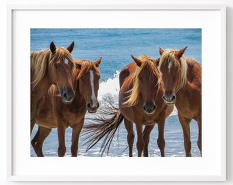Wild Wild Horses of Corolla Print - Outer Banks Coastal Print Photography, North Carolina Beach Decor