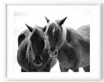 Outer Banks Wild Horses Beach Print, North Carolina Photography