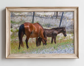 Outer Banks Wild Horses Print – North Carolina Beach Photography