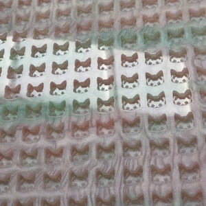 Puede incluir: Un molde de silicona transparente con un patrón repetido de caras de gato. El molde está diseñado para hacer pequeños objetos con forma de gato detallados.