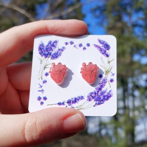 Anatomical Heart Stud Earrings