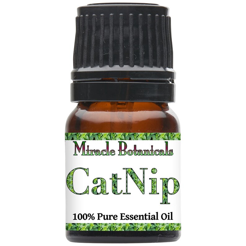 Miracle Botanicals Catnip Essential Oil 100 Pure Nepeta Etsy