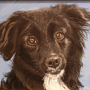 Custom Pet Portrait in Acrylic on Canvas reflecting your pet&#39;s personality.