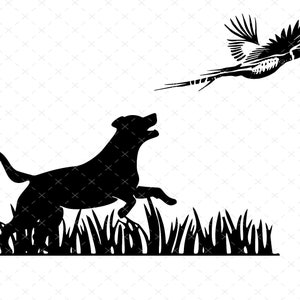 Hunting decals | Digital file | Pheasant Hunting SVG | Hunting Dog | Hunting PNG | Labrador SVG | Dog png | Vinyl decal file |