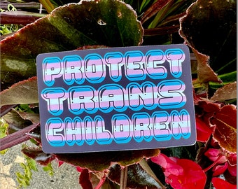Protect Trans Children sticker | matte pride sticker | pride stickers | Protect transgender kids | 3inch x 2 inch laptop sticker | pride