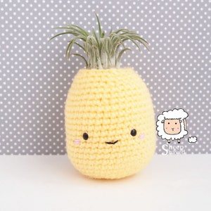 Pineapple Air Plant Holder Crochet Pattern