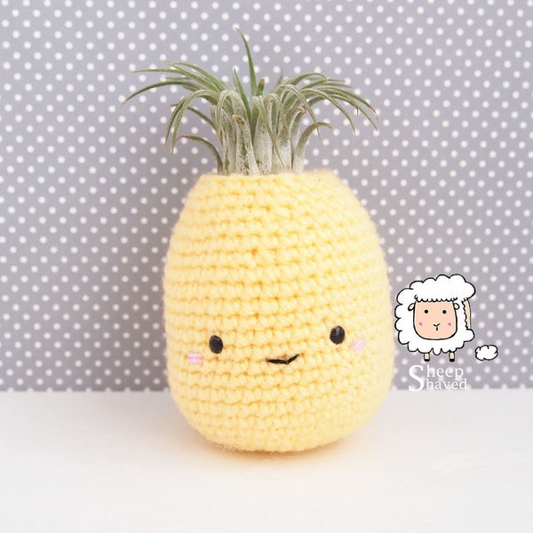 Pineapple Air Plant Holder Crochet Pattern