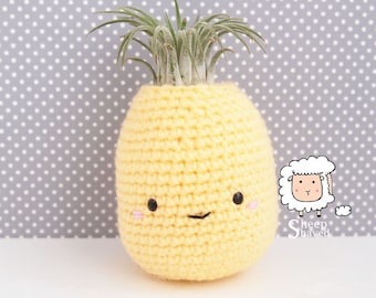 Pineapple Air Plant Holder Crochet Pattern