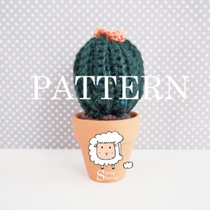 Mini Crochet Home Decor Cactus Pattern