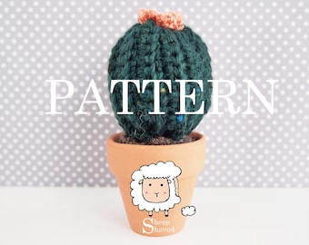 Mini Crochet Home Decor Cactus Pattern