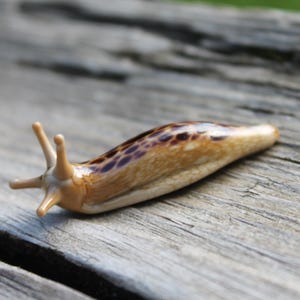 May include: A ceramic slug figurine, tan with dark brown markings, and two pairs of antennae. It rests on a weathered, grey wooden surface. The blurred background suggests an outdoor setting. The slug is a detailed, miniature sculpture.