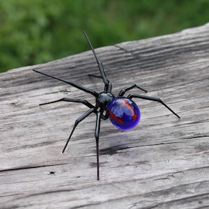 Op de afbeelding: Een zwarte glazen spin met een blauwe en rode glazen buik. De spin zit op een houten oppervlak.