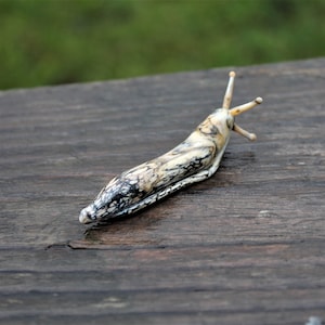 Spotted Slug glass sculpture GLASS SLUG lampwork Glass Animals Handcrafted Snail glass sculpture gift gardener