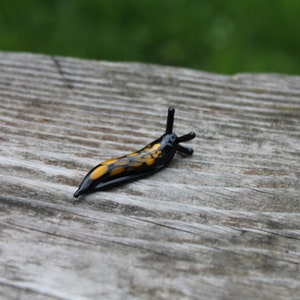 Spotted Slug glass sculpture GLASS SLUG lampwork Glass Animals Handcrafted