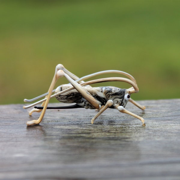 Glass Grasshopper Miniature Glass insects Sculpture Collectible Figurine locust murano Desert locust  Unique gift