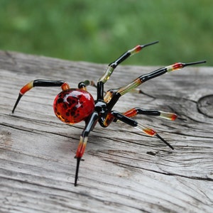Spinnentiere aus Glas, Kunstglas, geblasenes Glas, Skulptur aus Glas, schwarze Witwenspinne