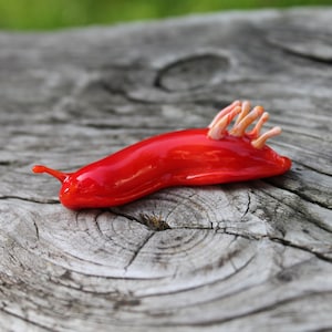 Glazen sculptuur van zeeslakken