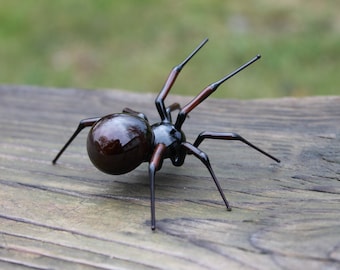 May include: A black spider with a shiny, round abdomen and long, thin legs. The spider is sitting on a piece of weathered wood.