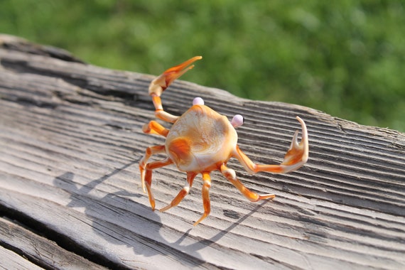 カニガラス、アートガラスのカニ、吹きガラスのカニ、ガラス製の彫刻