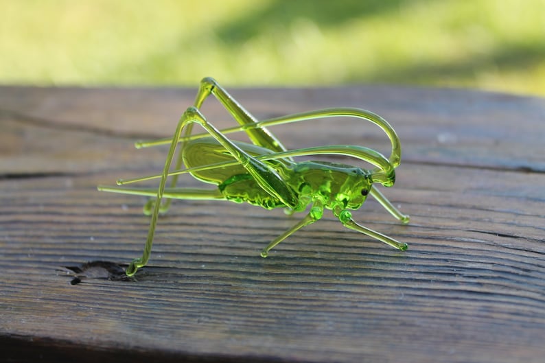Grasshopper Glass Miniature, Migratory locust Animals Glass, Hand Blown Glass Lampwork Collectible Grasshopper Figurine image 4