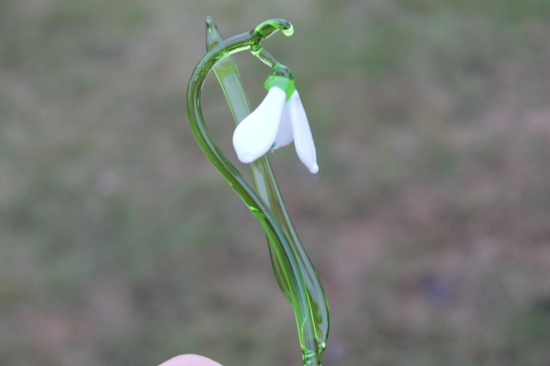Glass Flower Snowdrop - White Snowdrop - Glass Flower - Single Snowdrop - Forever Snowdrop image 6