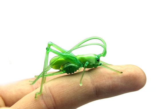 Infringement Lawsuit Locast Service Areas Bright Side Candles What Happens  On Tour - Main Image