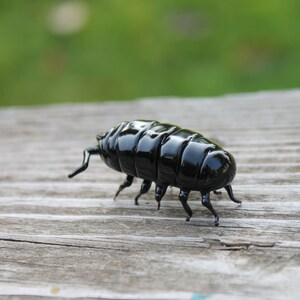 Glass woodlouse, Glass bug, Art glass, Blown Glass bug, glass sculpture woodlouse zdjęcie 5